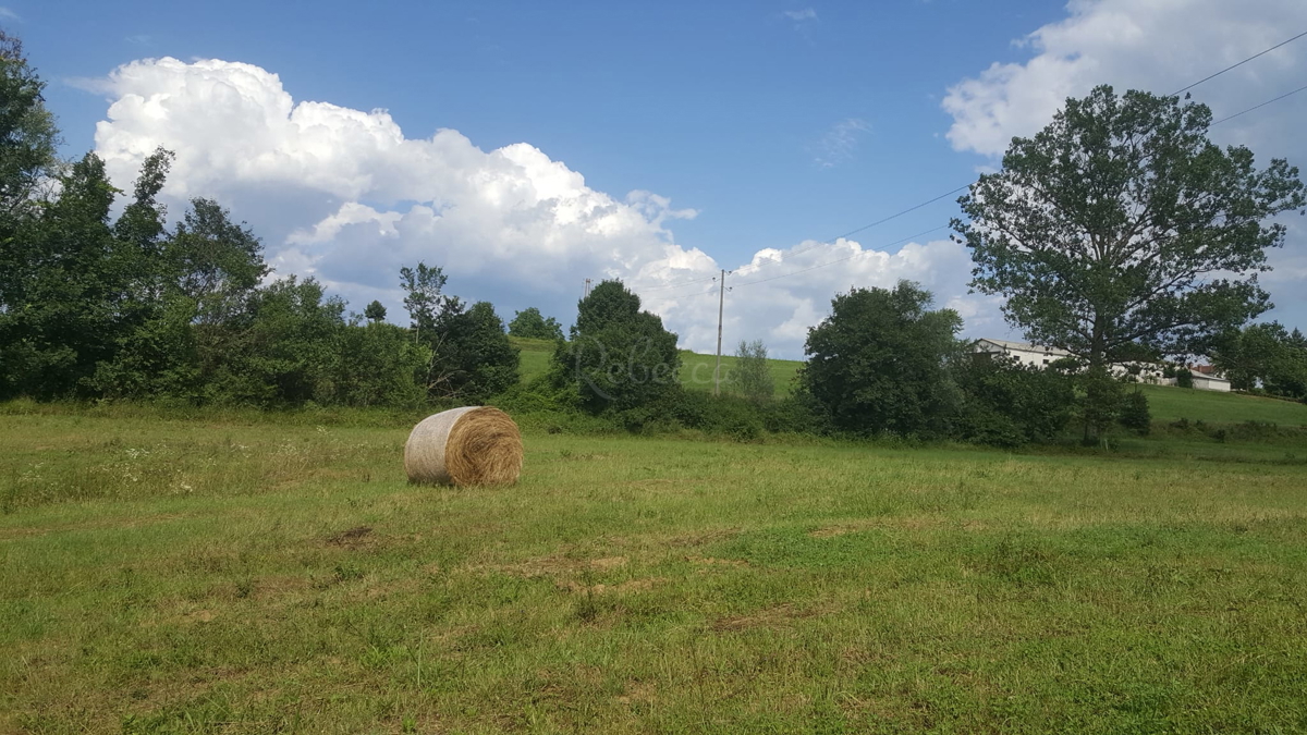 Pisino, terreno ad uso misto