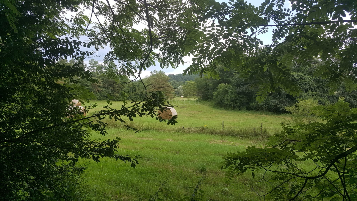 Pisino, terreno ad uso misto