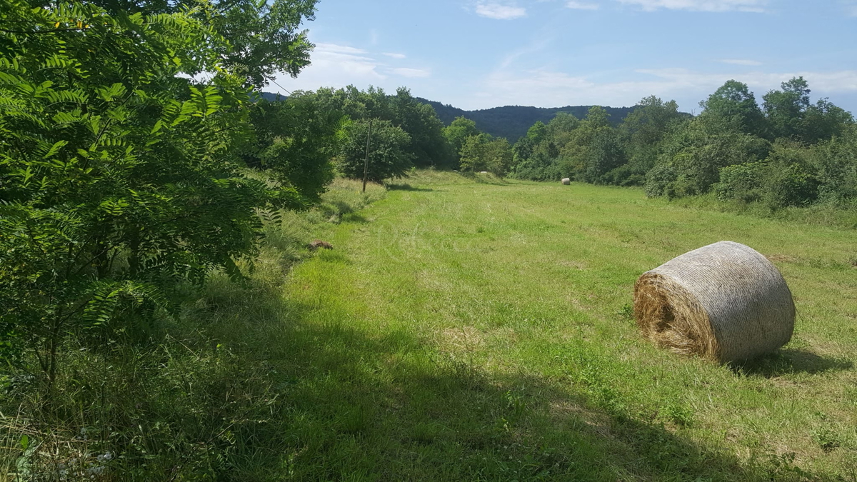 Pisino, terreno ad uso misto