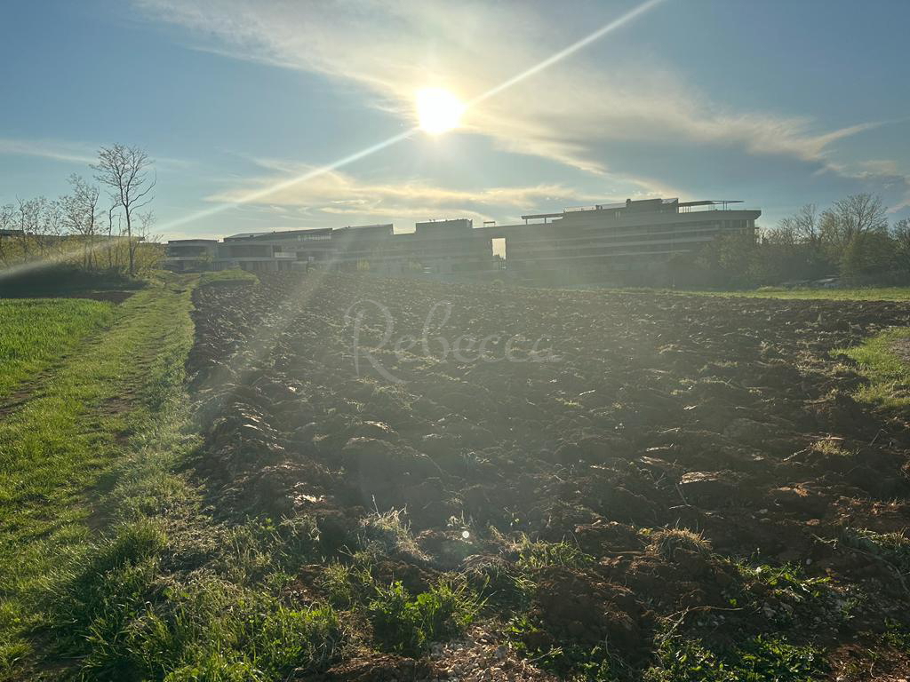 Istria, Salvore, ampio terreno edificabile per la costruzione di ville, vicino al mare