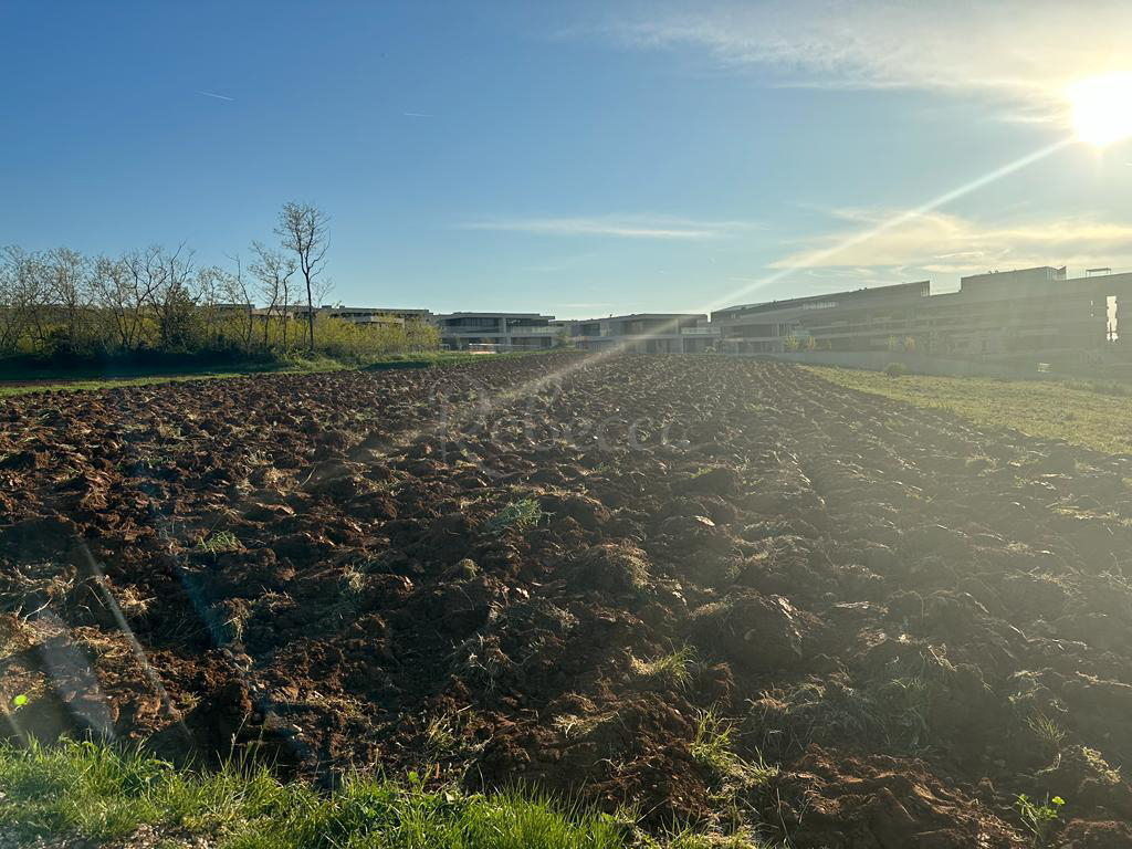 Istria, Salvore, ampio terreno edificabile per la costruzione di ville, vicino al mare