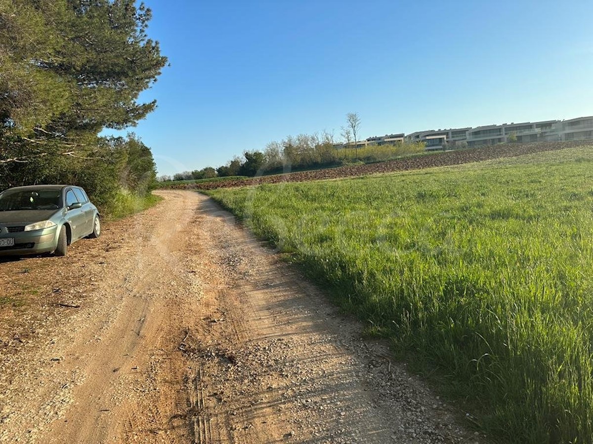 Istria, Salvore, ampio terreno edificabile per la costruzione di ville, vicino al mare