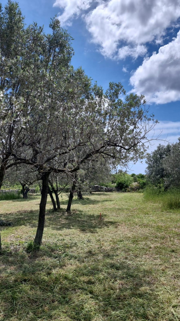 Terreno edificabile, 650 m2, vista mare, Galižana