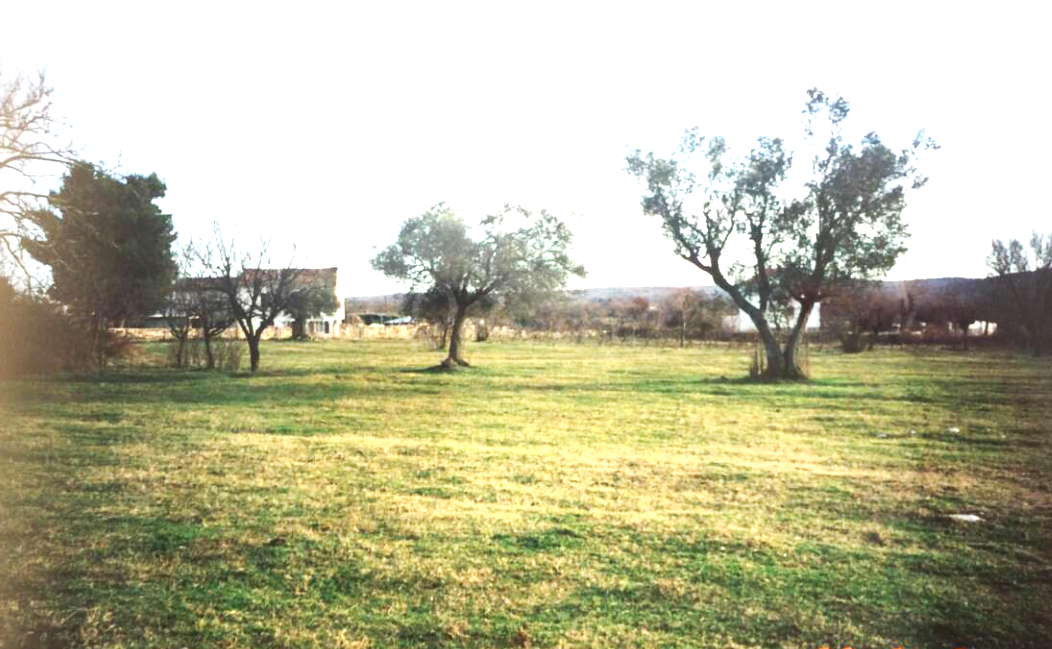 Ampia proprietà di 7800 m2, terreno edificabile, vicinanza a Bale
