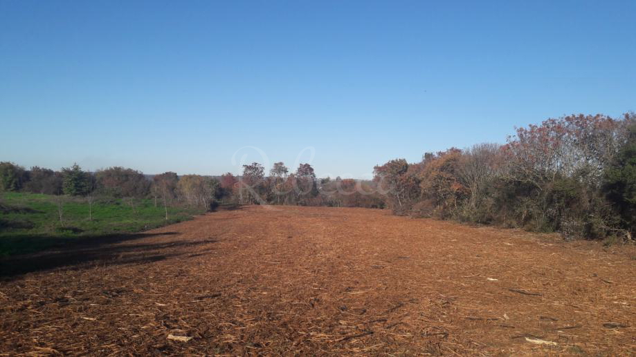 Terreno agricolo edificabile, Štinjan