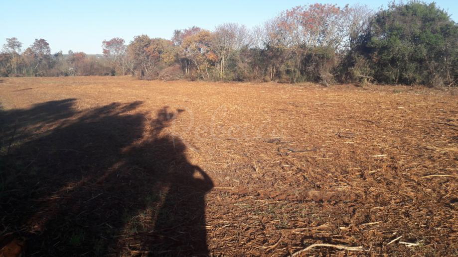 Terreno agricolo edificabile, Štinjan
