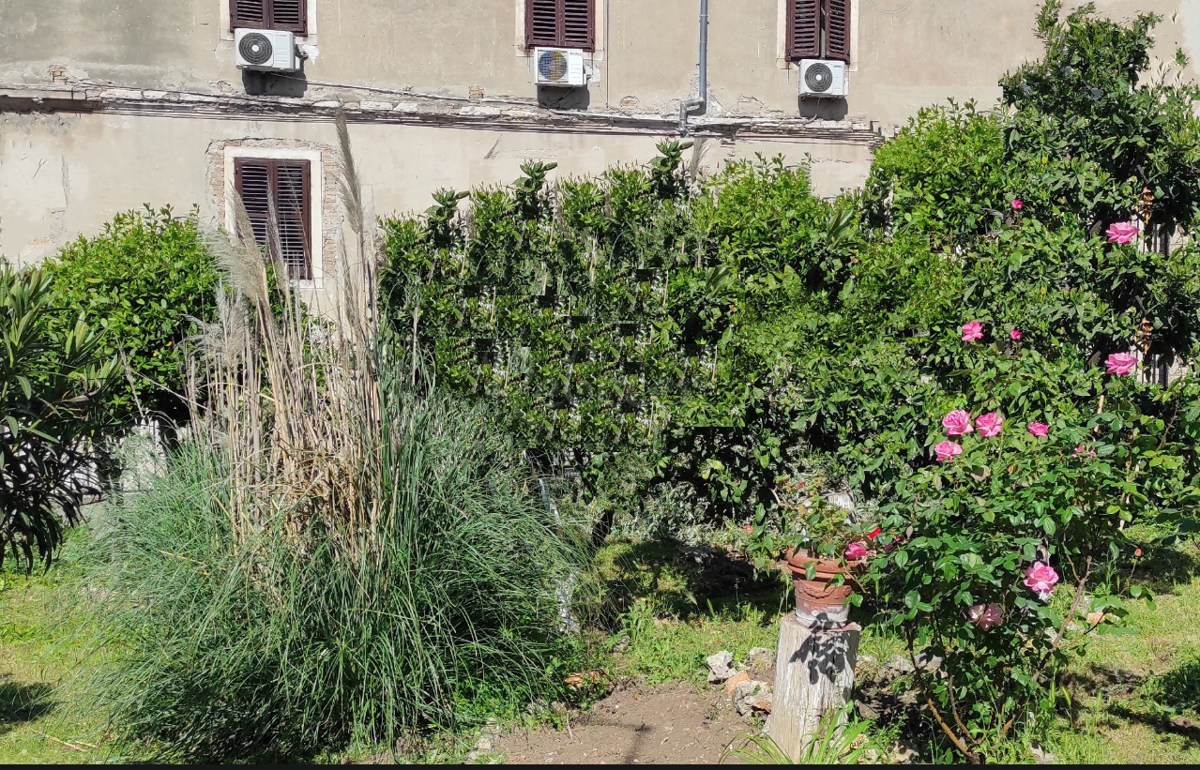 Villa nel centro della città, giardino, garage, Pola