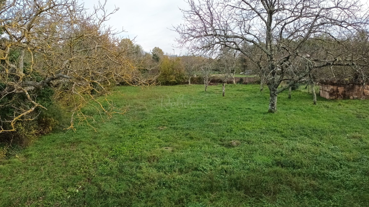 Pisino, dintorni: Casa con giardino