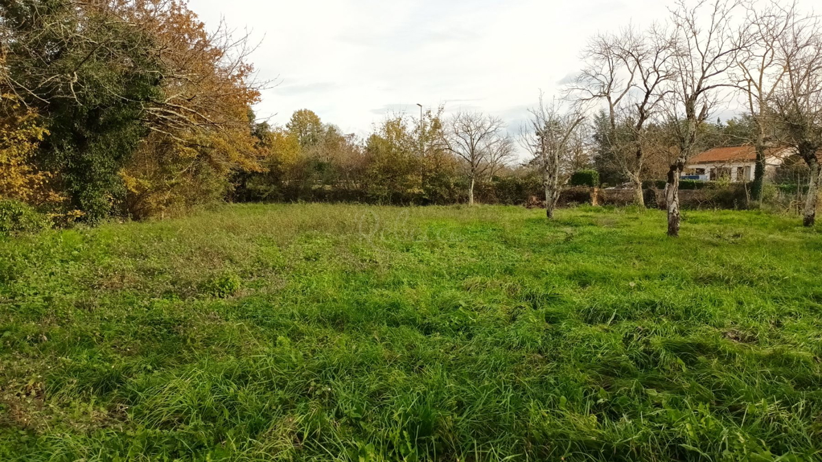 Pisino, dintorni: Casa con giardino