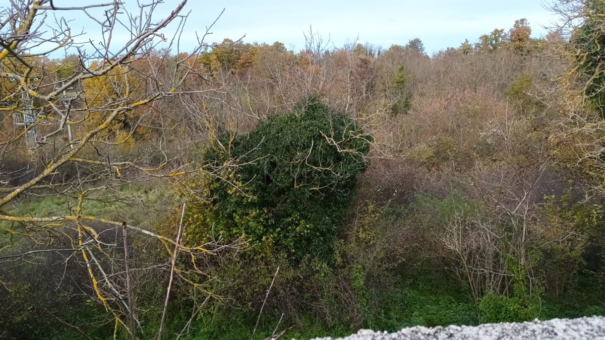 Pisino, dintorni: Casa con giardino