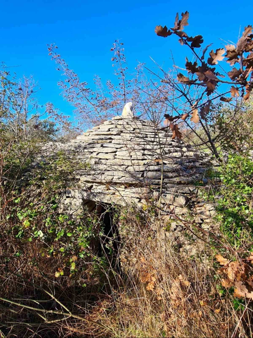 Fasana, terreno agricolo, uliveto 3000 m2, 60 ulivi secolari