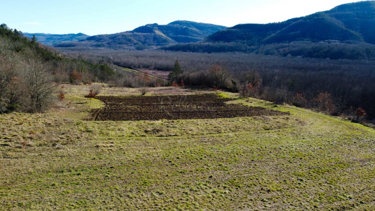 Terreno edificabile con vista su Montona