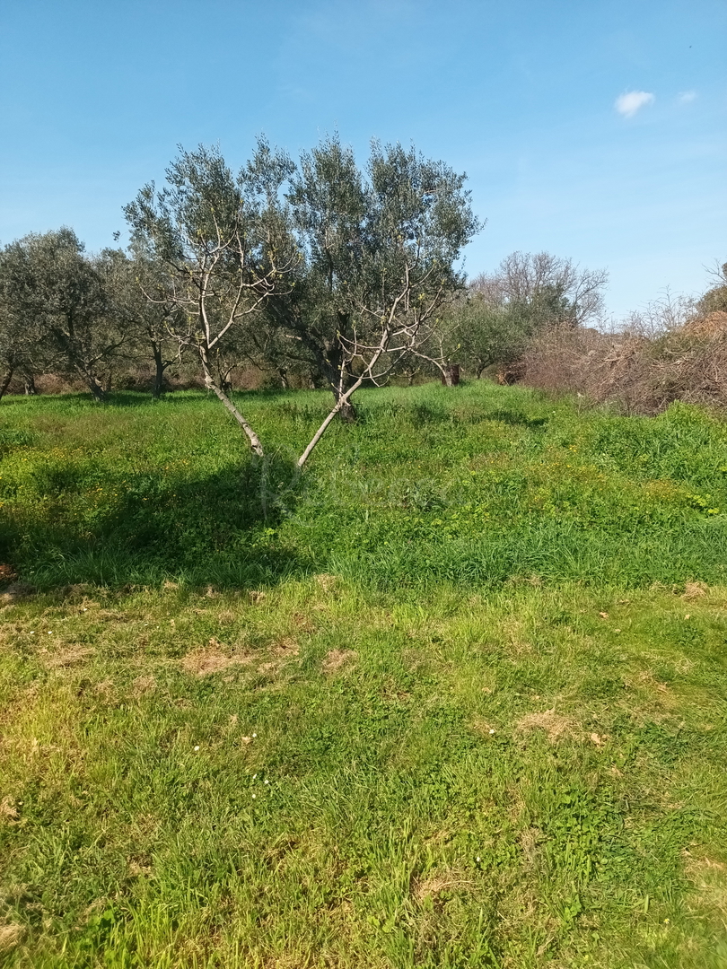 Terreno edificabile, T1, T2, T3, 5923 m2, vicino al mare, Peroj