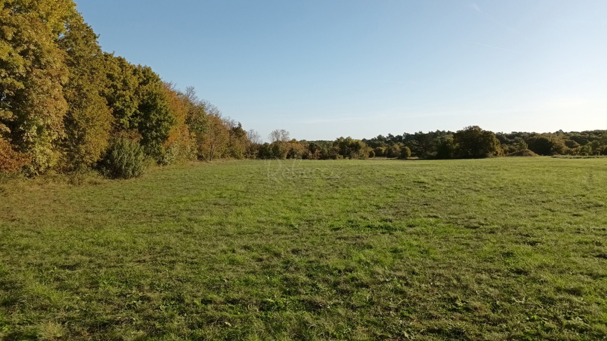 Istria, Prnjani: Terreno agricolo 7600 m2