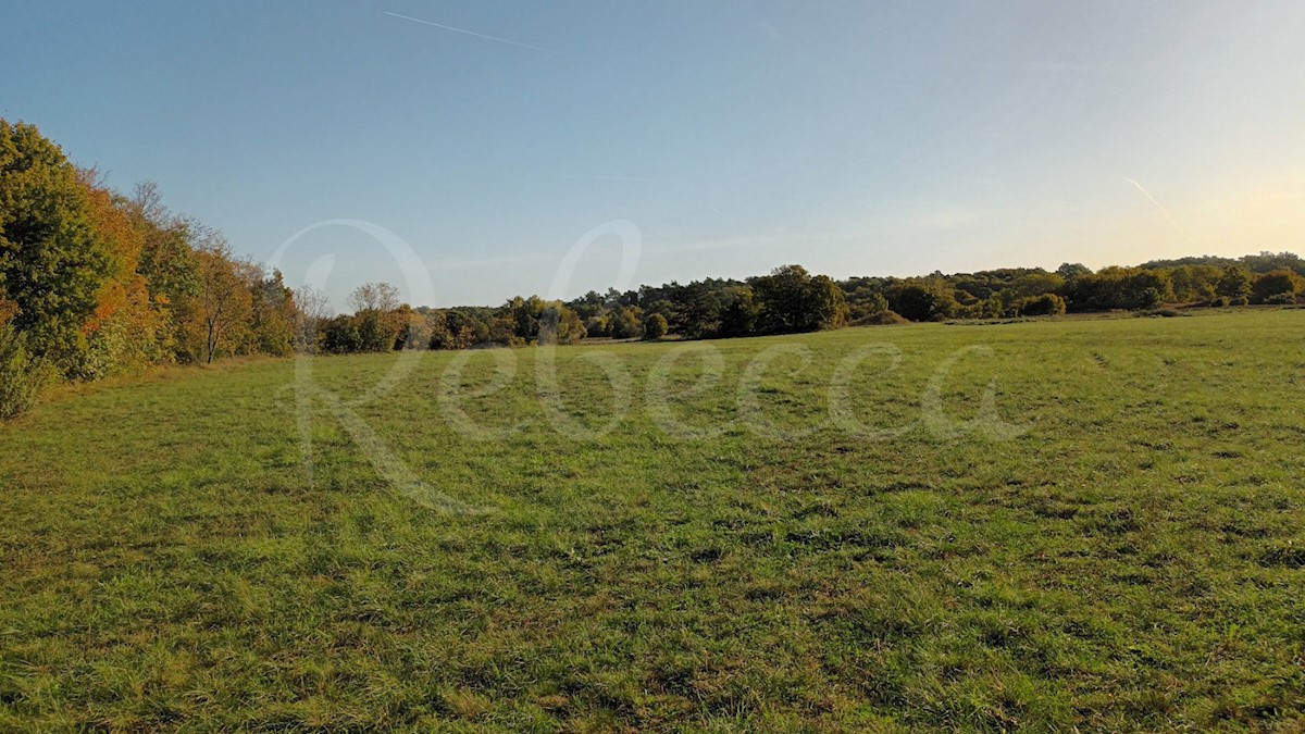 Istria, Prnjani: Terreno agricolo 7600 m2