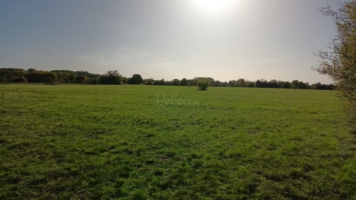 Istria, Prnjani: Terreno agricolo 7600 m2