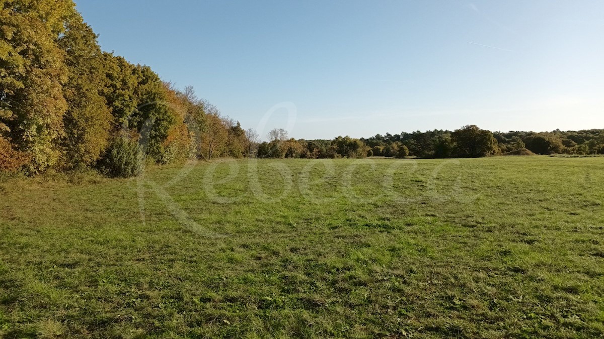 Istria, Prnjani: Terreno agricolo 7600 m2