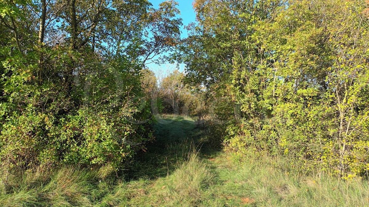 Istria, Prnjani: Terreno agricolo 7600 m2