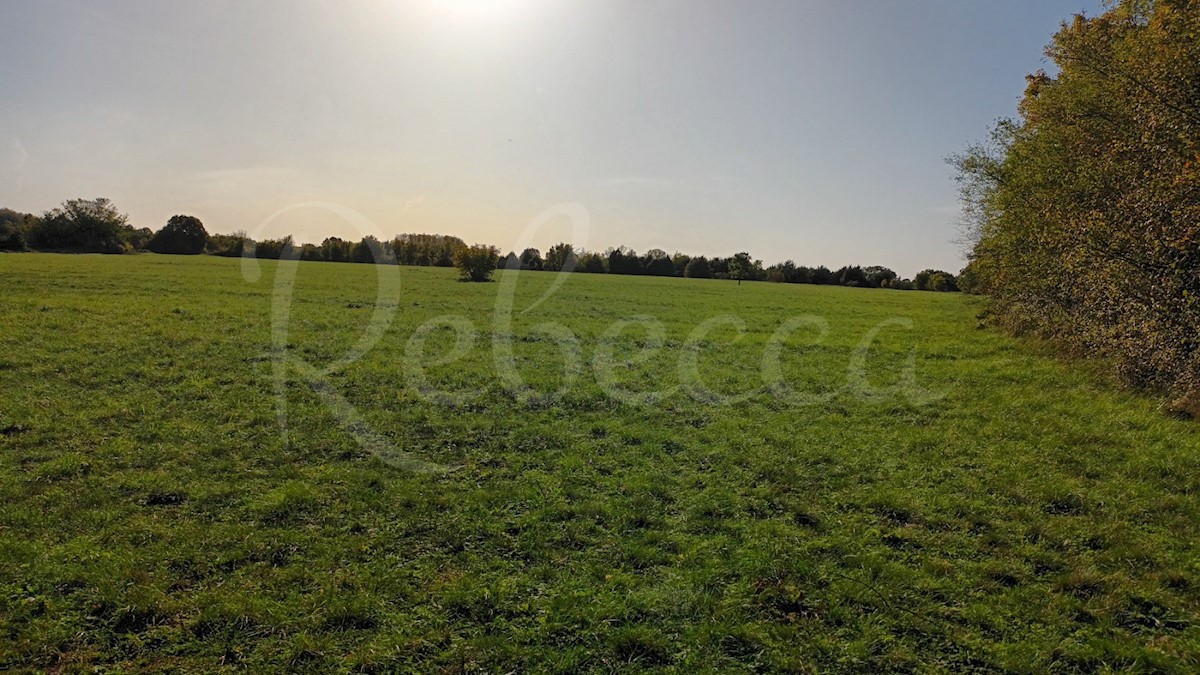 Istria, Prnjani: Terreno agricolo 7600 m2