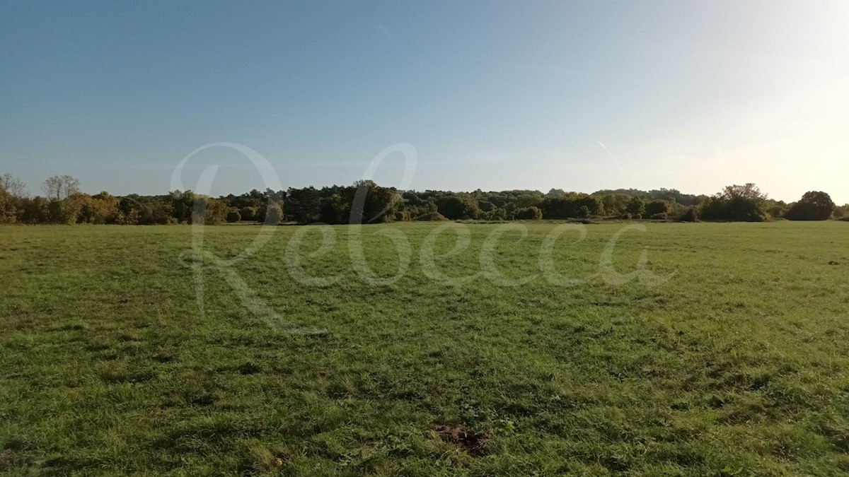 Istria, Prnjani: Terreno agricolo 7600 m2