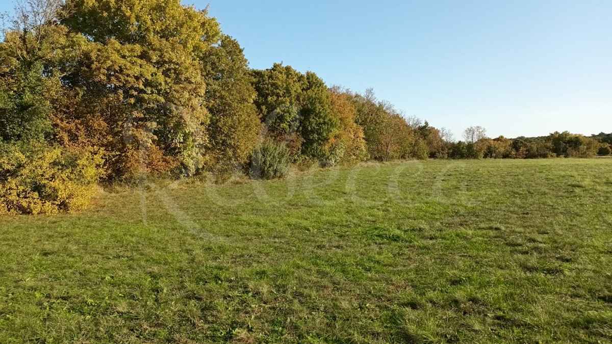 Istria, Prnjani: Terreno agricolo 7600 m2