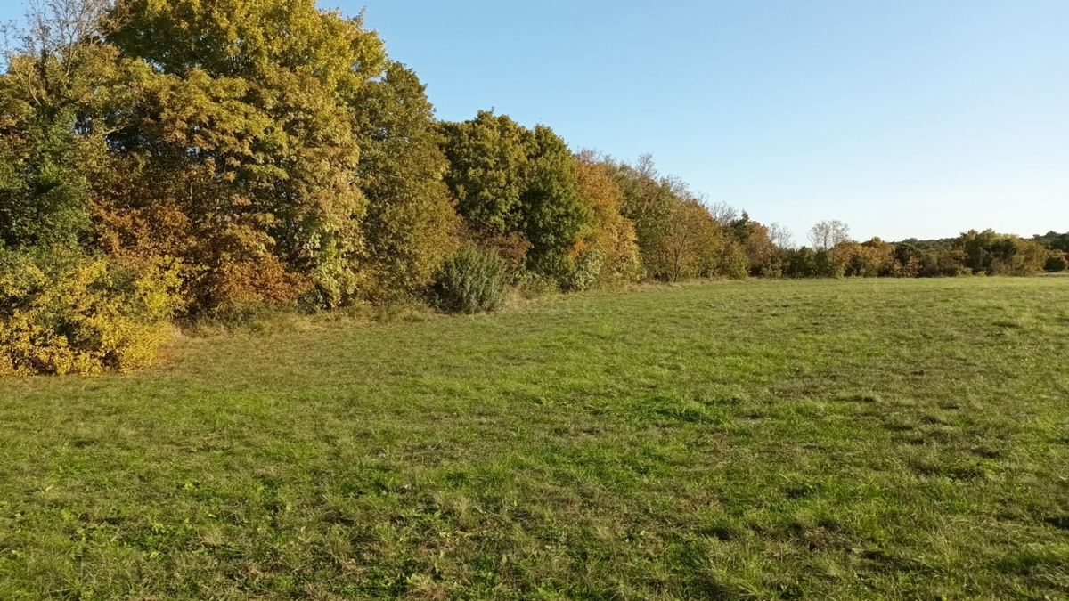 Istria, Prnjani: Terreno agricolo 7600 m2