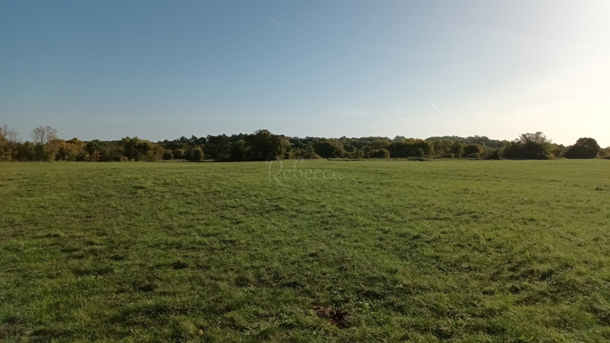 Istria, Prnjani: Terreno agricolo 7600 m2