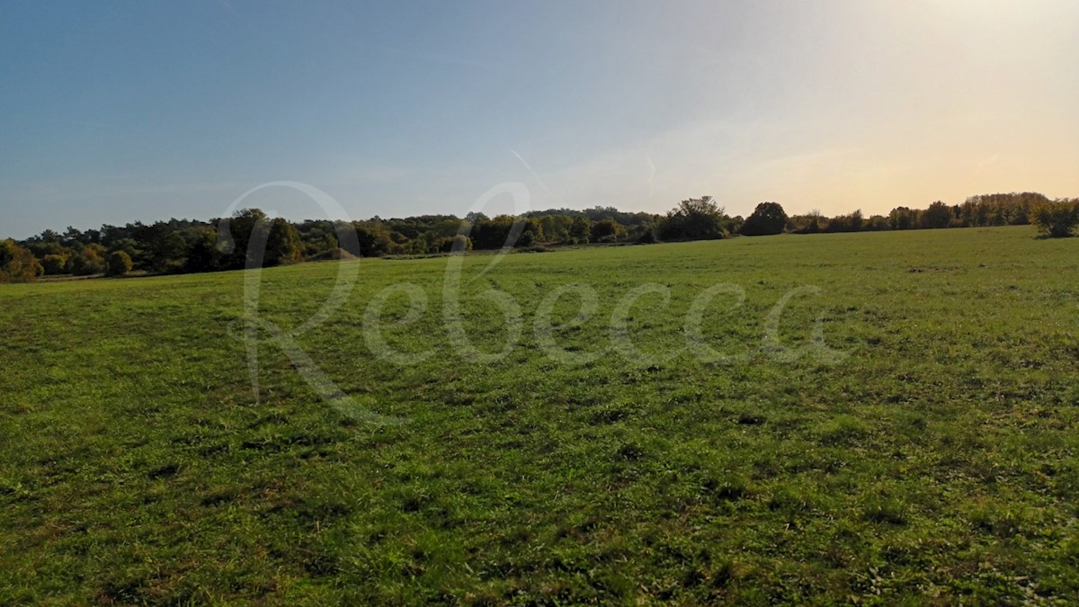 Istria, Prnjani: Terreno agricolo 7600 m2