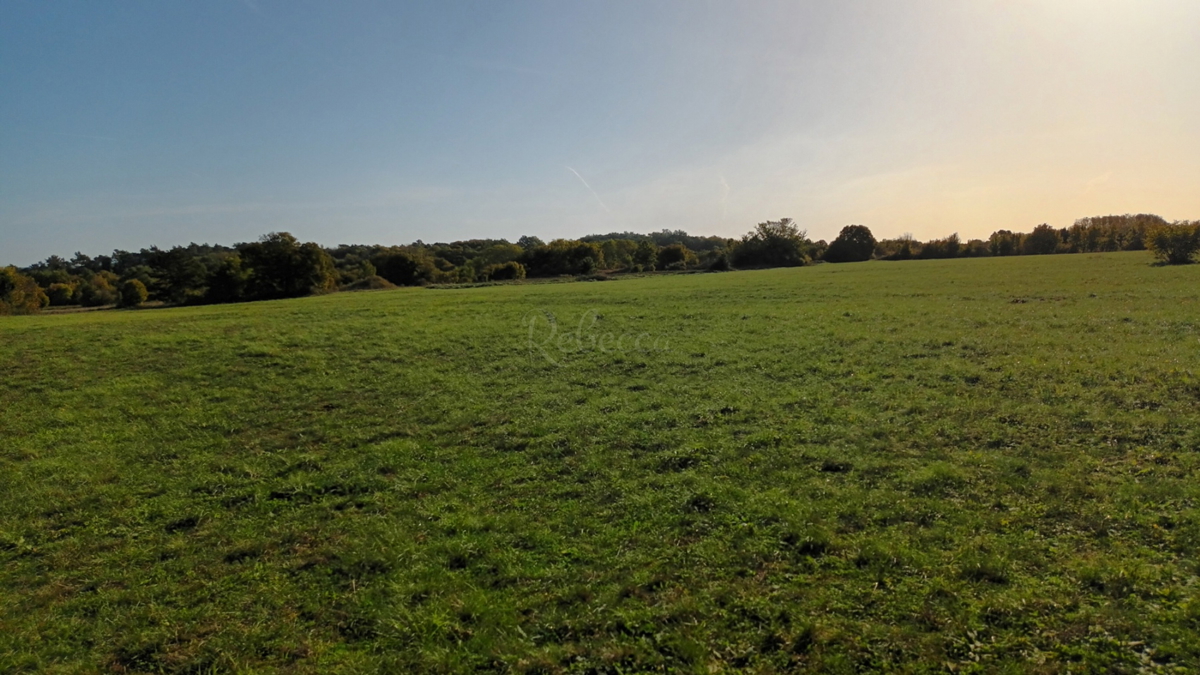 Istria, Prnjani: Terreno agricolo 7600 m2