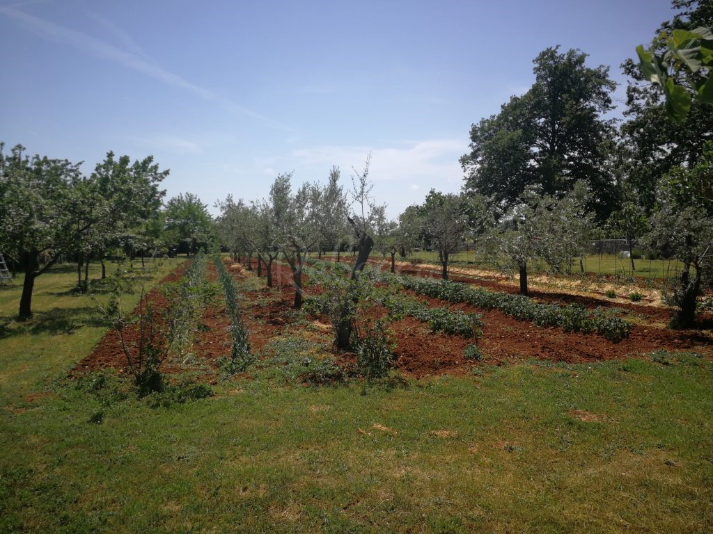 Casa in pietra d&apos;Istria, 210 m2, taverna, vicino a Barban