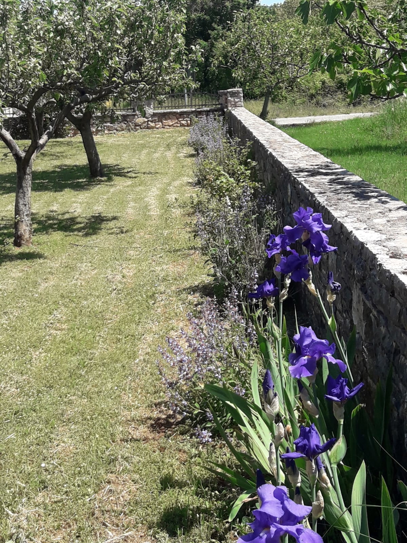 Casa in pietra d&apos;Istria, 210 m2, taverna, vicino a Barban