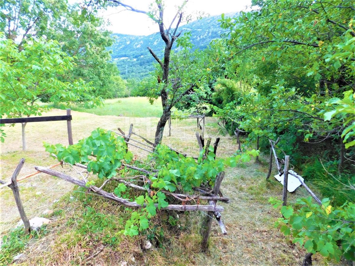 Bribir - due case in pietra, grande giardino