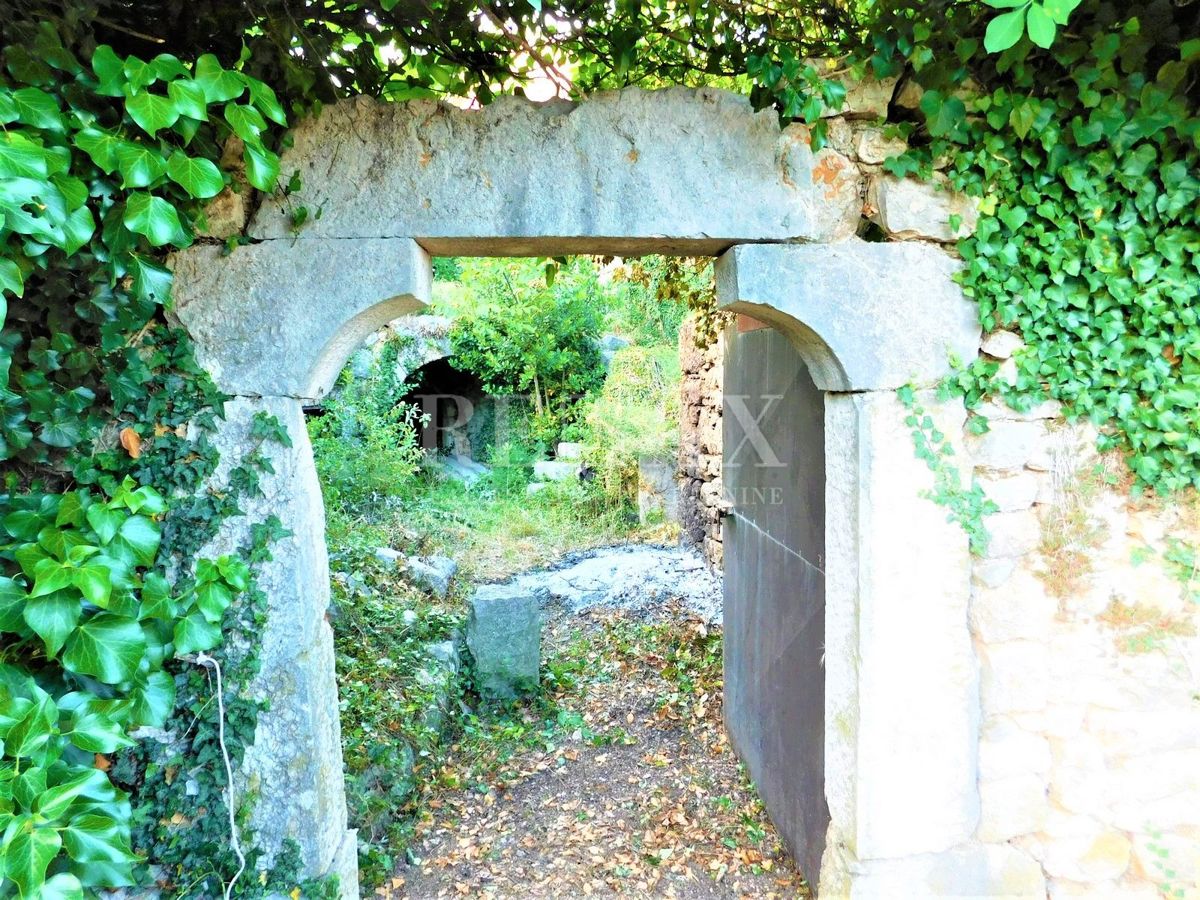 Bribir - due case in pietra, grande giardino