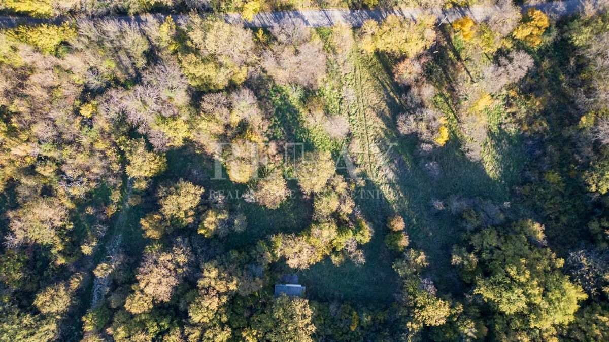 Bribir - terreno di forma regolare in un ambiente tranquillo