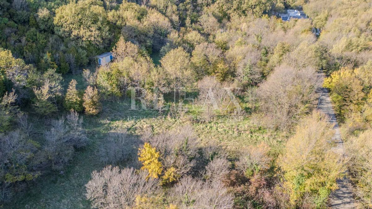 Bribir - terreno di forma regolare in un ambiente tranquillo