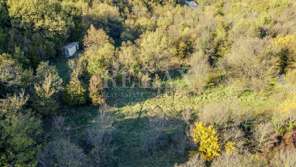 Bribir - terreno di forma regolare in un ambiente tranquillo