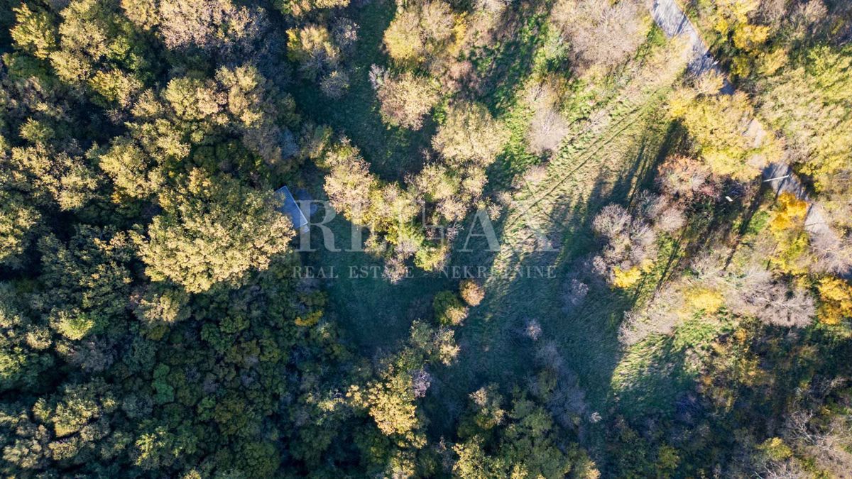 Bribir - terreno di forma regolare in un ambiente tranquillo