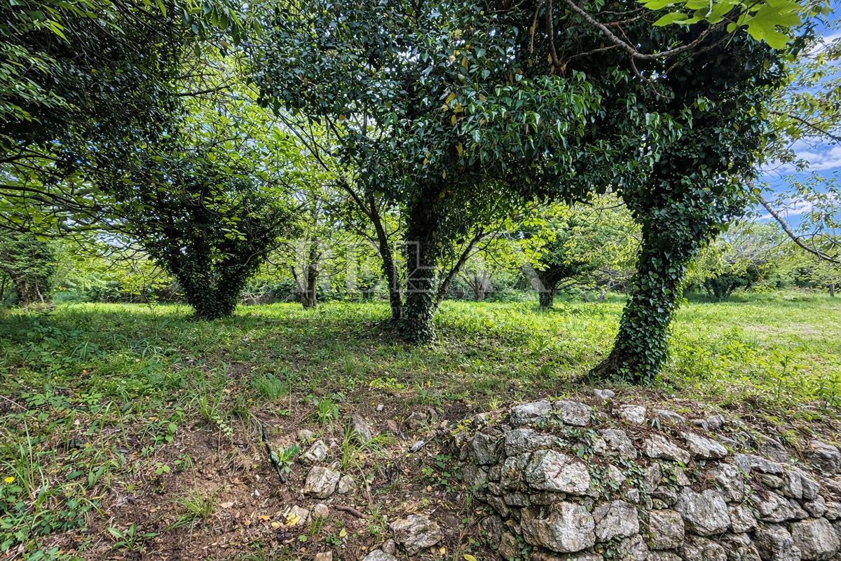Bribir – Casa in pietra con ampio cortile e terreno