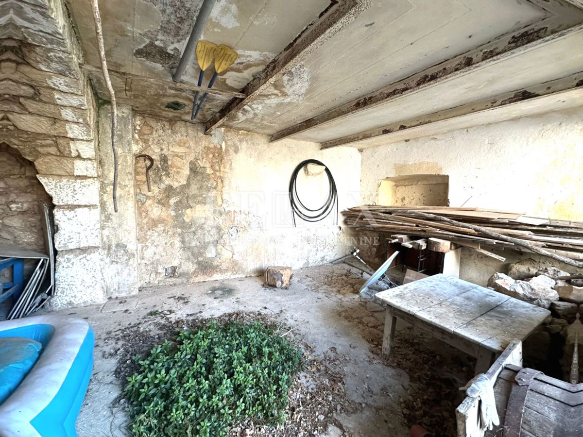 Tribalj - Antico per adattamento