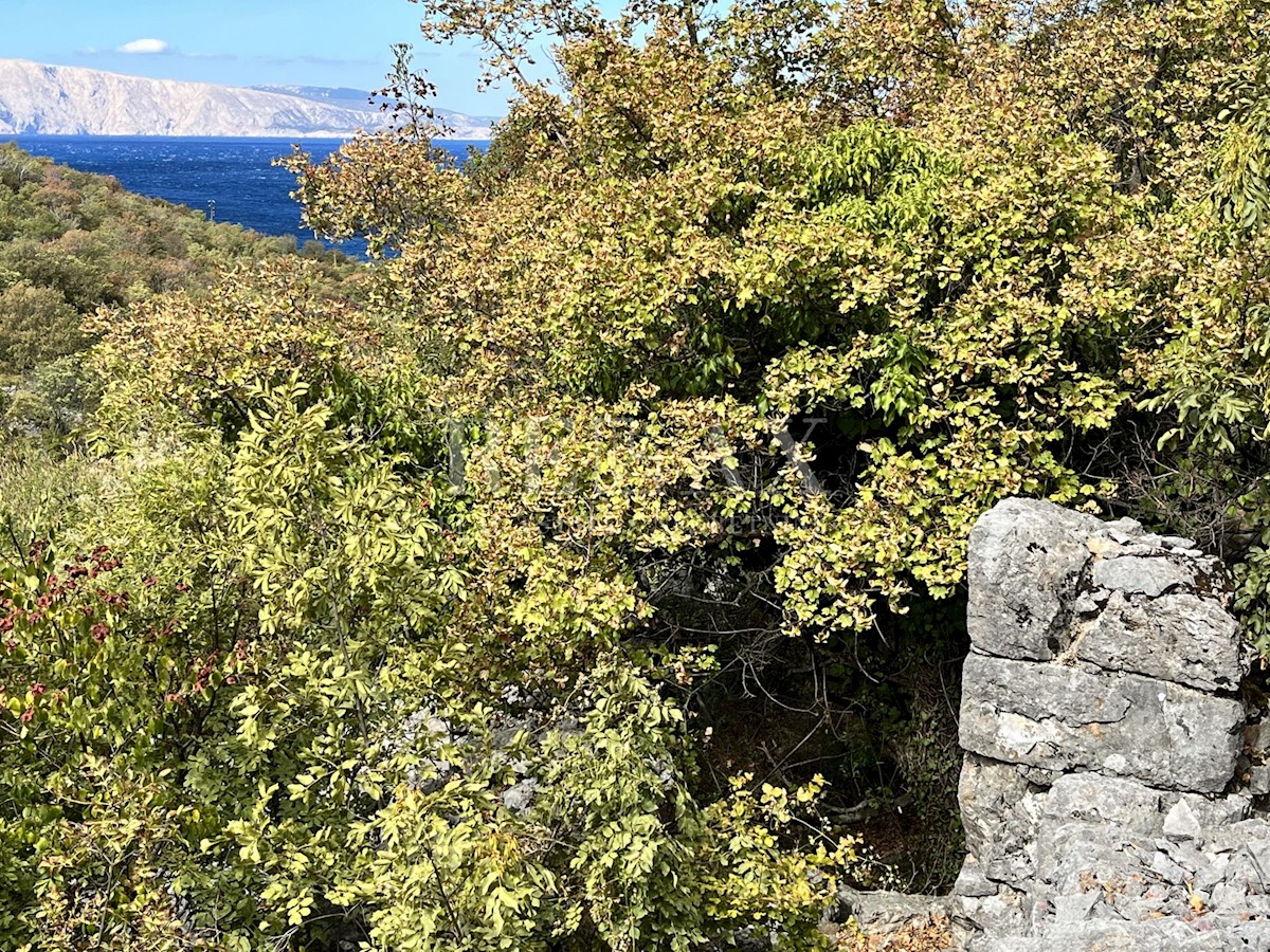 NOVI VINODOLSKI, SIBINJ KRMPOTSKI - Due ampi campi con vista sul mare