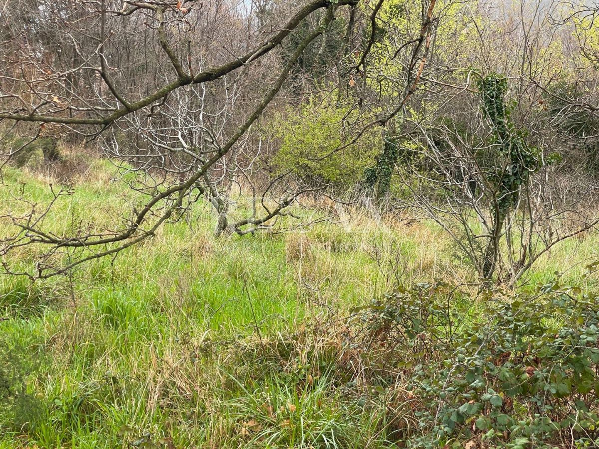 Terreno Bribir, Vinodolska Općina, 1.955m2