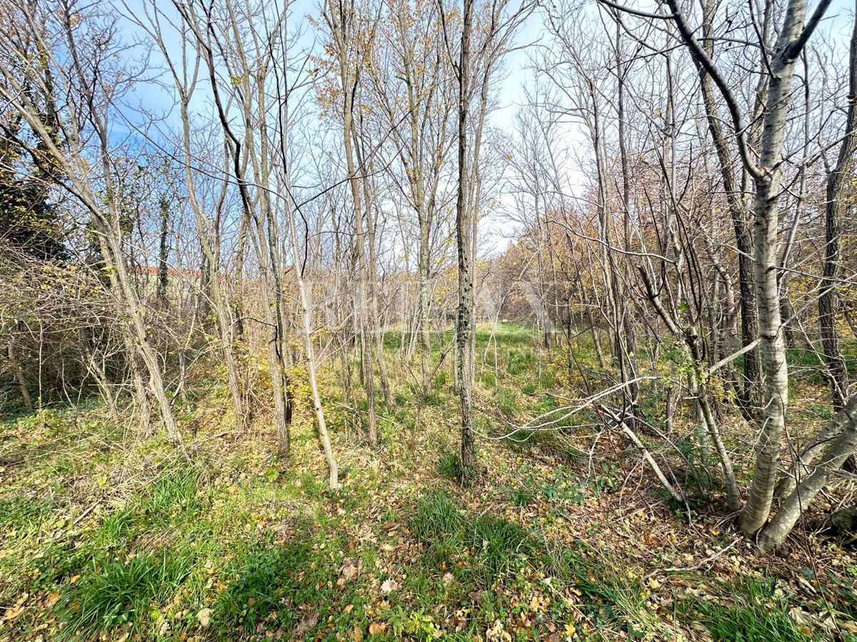 Grižane - terreno edificabile in una zona tranquilla