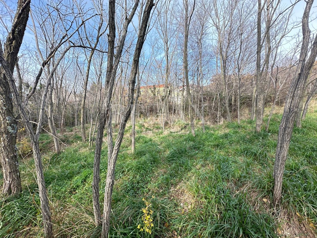 Grižane - terreno edificabile in una zona tranquilla