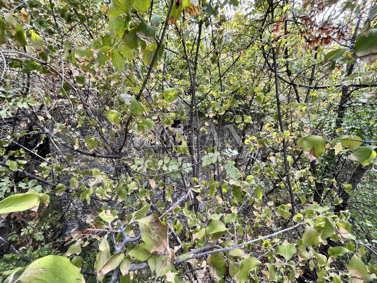 NOVI VINODOLSKI, SIBINJ KRMPOTSKI - Ampio appezzamento con una vecchia casa crollata