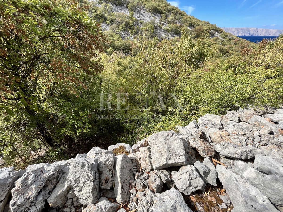 NOVI VINODOLSKI, SIBINJ KRMPOTSKI - Ampio appezzamento con una vecchia casa crollata