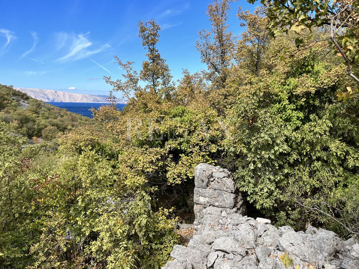 NOVI VINODOLSKI, SIBINJ KRMPOTSKI - Ampio appezzamento con una vecchia casa crollata