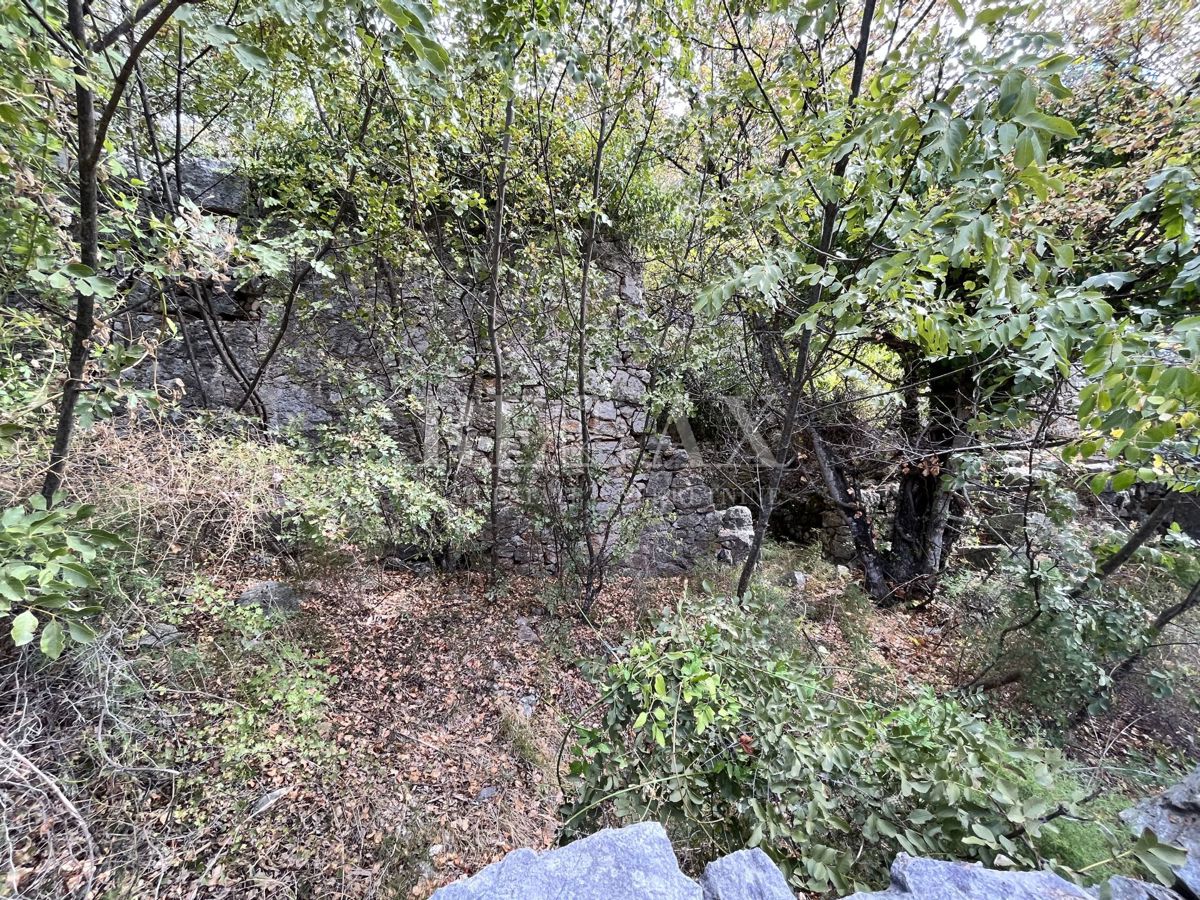 NOVI VINODOLSKI, SIBINJ KRMPOTSKI - Ampio appezzamento con una vecchia casa crollata