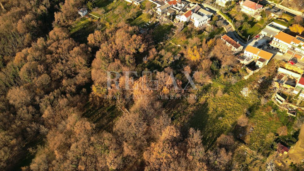 Bribir - un'antichità con potenziale