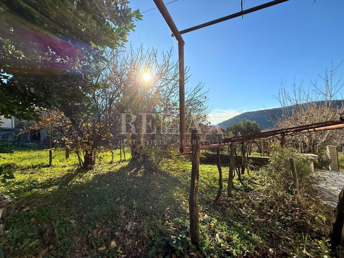 Bribir - un'antichità con potenziale