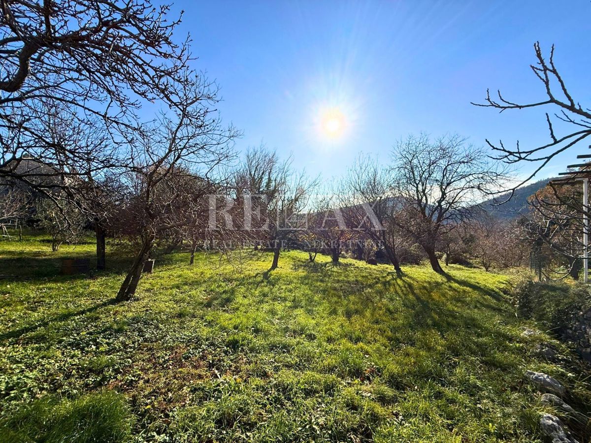 Bribir - un'antichità con potenziale